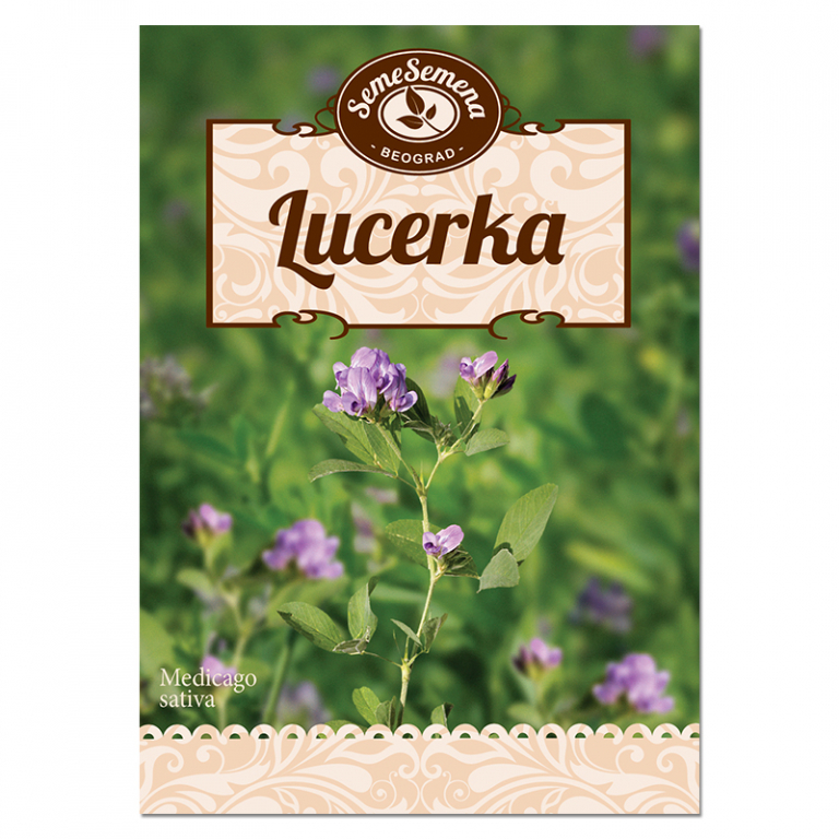 Lucerka – Seme Semena
