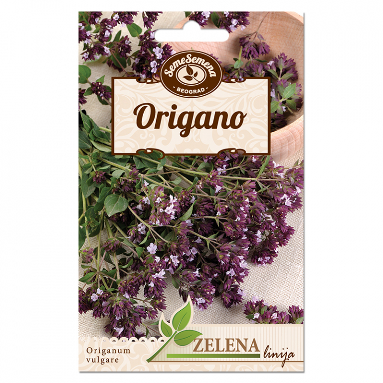 Origano – Seme Semena